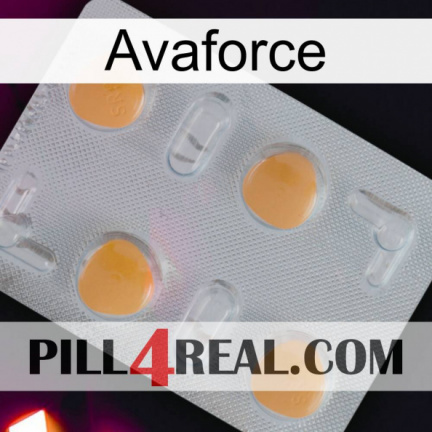 Avaforce 24